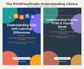 The PrintFlowStudio Understanding Library — Digital Bundle (2 Guides)